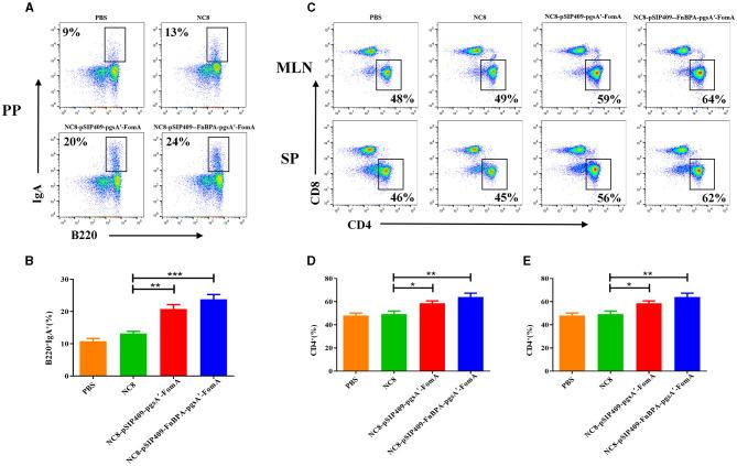 https://cdn.ncbi.nlm.nih.gov/pmc/blobs/749e/10548212/16272bf406b8/fmicb-14-1228857-g0002.jpg