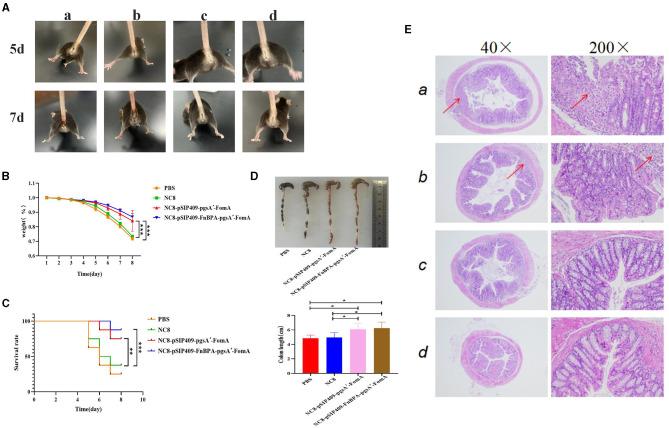 https://cdn.ncbi.nlm.nih.gov/pmc/blobs/749e/10548212/9339e3244dff/fmicb-14-1228857-g0005.jpg