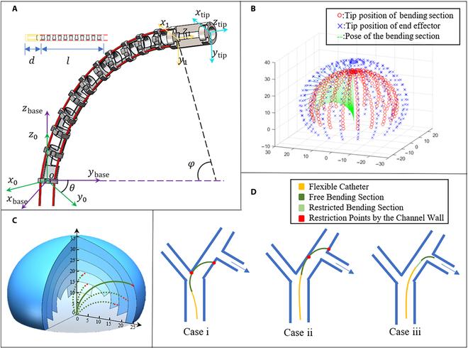 https://cdn.ncbi.nlm.nih.gov/pmc/blobs/749f/10026825/c53f6ede0d83/cbsystems.0013.fig.002.jpg