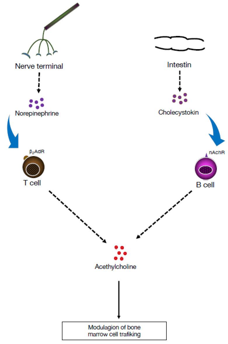 https://cdn.ncbi.nlm.nih.gov/pmc/blobs/74a0/10459025/84c8528c9ef3/pharmaceuticals-16-01089-g002.jpg