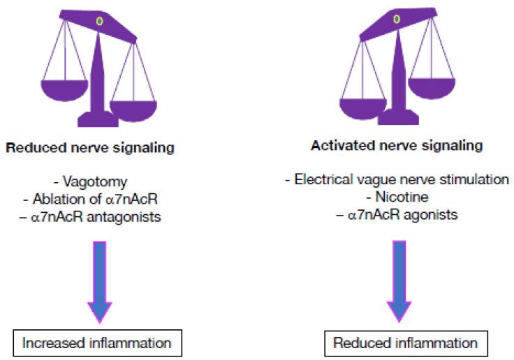 https://cdn.ncbi.nlm.nih.gov/pmc/blobs/74a0/10459025/ab2bd3e07a76/pharmaceuticals-16-01089-g006.jpg