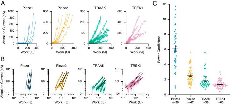 https://cdn.ncbi.nlm.nih.gov/pmc/blobs/74a3/9974467/1ce3e9e42321/pnas.2215747120fig02.jpg
