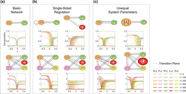 https://cdn.ncbi.nlm.nih.gov/pmc/blobs/74a6/12283076/c307a7e73904/elife-96421-fig1-figsupp5.jpg