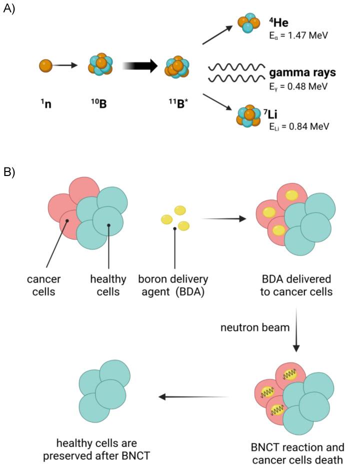https://cdn.ncbi.nlm.nih.gov/pmc/blobs/74a8/10605826/1f9cf4665079/cancers-15-04944-g001.jpg