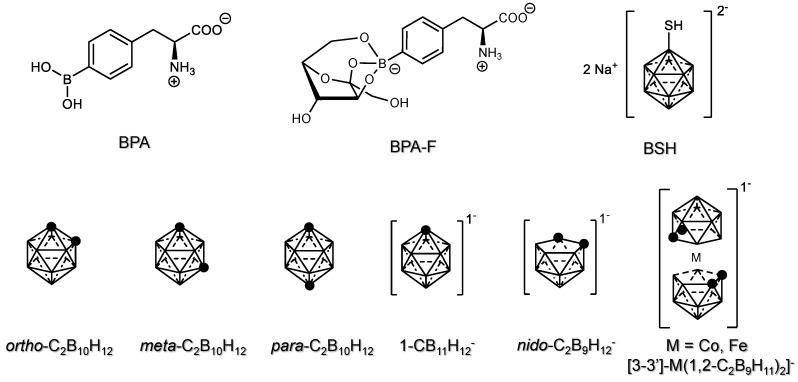 https://cdn.ncbi.nlm.nih.gov/pmc/blobs/74a8/10605826/a00c289027b1/cancers-15-04944-g002.jpg