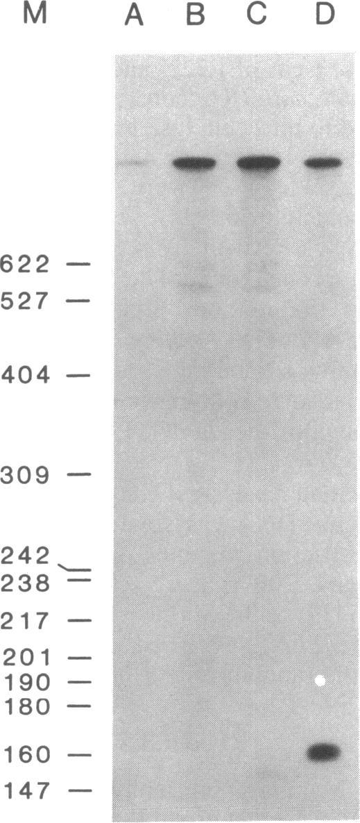 https://cdn.ncbi.nlm.nih.gov/pmc/blobs/74a8/298980/009153d2281a/pnas00331-0447-a.jpg