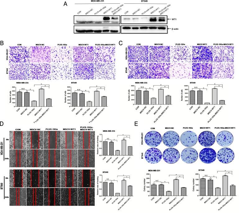 https://cdn.ncbi.nlm.nih.gov/pmc/blobs/74a8/5634539/26f0e2a772c9/pone.0185565.g004.jpg