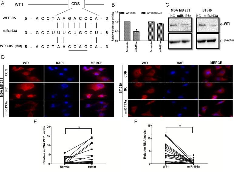 https://cdn.ncbi.nlm.nih.gov/pmc/blobs/74a8/5634539/3b7dc3dcf875/pone.0185565.g003.jpg