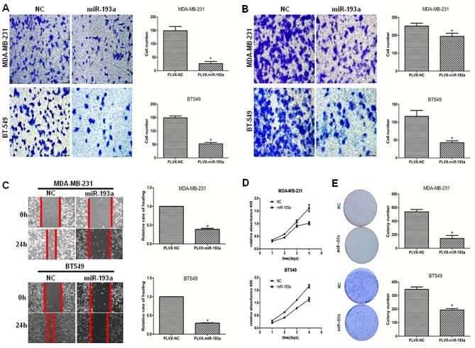 https://cdn.ncbi.nlm.nih.gov/pmc/blobs/74a8/5634539/5d2faf2b1a69/pone.0185565.g002.jpg