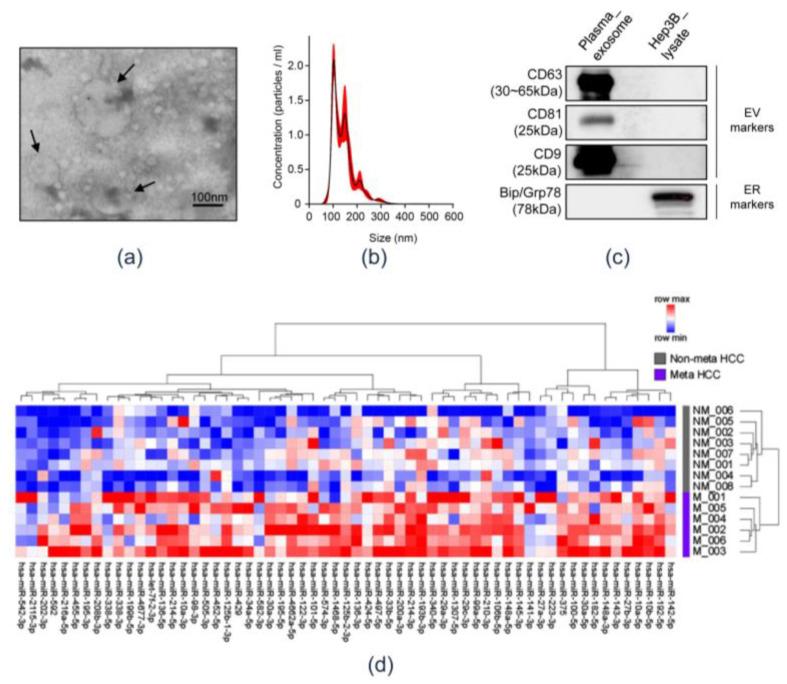 https://cdn.ncbi.nlm.nih.gov/pmc/blobs/74a9/7766543/37906f1687d0/cancers-12-03819-g002.jpg