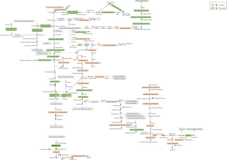 https://cdn.ncbi.nlm.nih.gov/pmc/blobs/74aa/5789592/bd6723a08d15/12870_2018_1239_Fig6_HTML.jpg