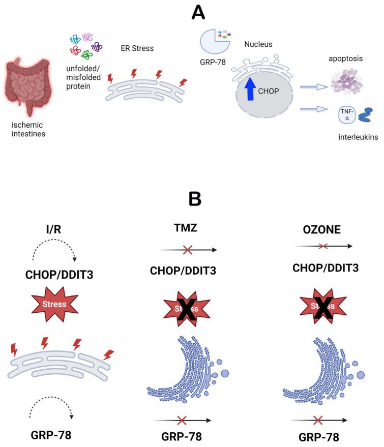 https://cdn.ncbi.nlm.nih.gov/pmc/blobs/74ab/11430474/87a8360c2ba4/biomolecules-14-01051-g005.jpg