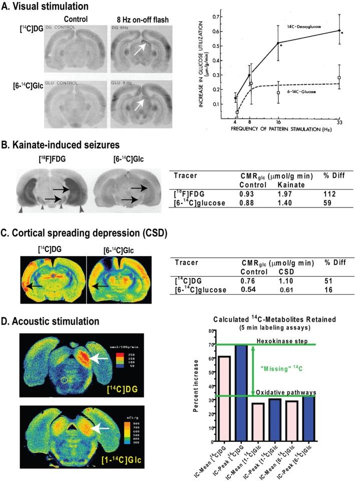 https://cdn.ncbi.nlm.nih.gov/pmc/blobs/74ab/12142580/bb1c0fcdb81d/JNC-169-0-g006.jpg