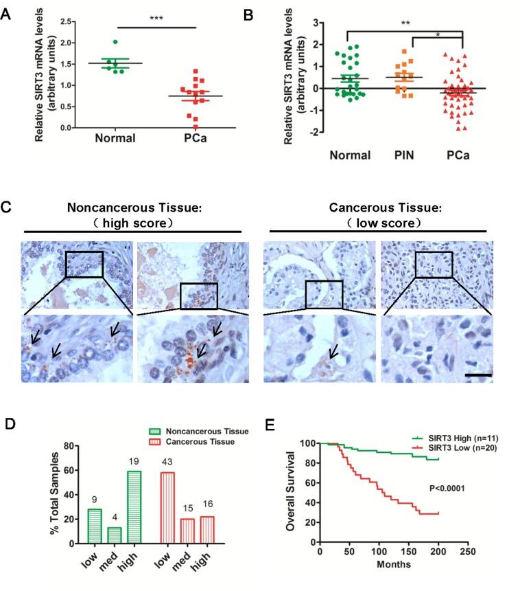 https://cdn.ncbi.nlm.nih.gov/pmc/blobs/74ab/4694917/cc0fe898df5d/oncotarget-06-26494-g001.jpg