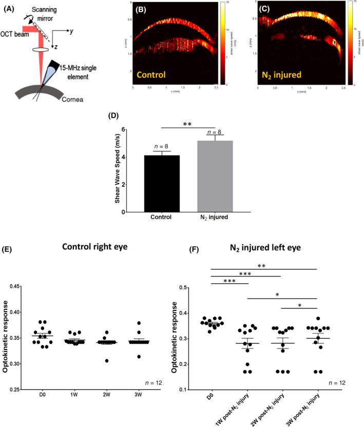 https://cdn.ncbi.nlm.nih.gov/pmc/blobs/74ad/7381812/db9214c1fac7/SCT3-9-917-g004.jpg