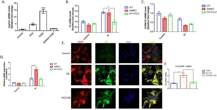 https://cdn.ncbi.nlm.nih.gov/pmc/blobs/74af/12279702/b6f27aeaa1b6/fncel-19-1618209-g002.jpg