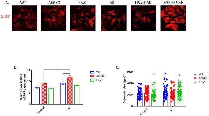 https://cdn.ncbi.nlm.nih.gov/pmc/blobs/74af/12279702/d78ac92431fb/fncel-19-1618209-g003.jpg