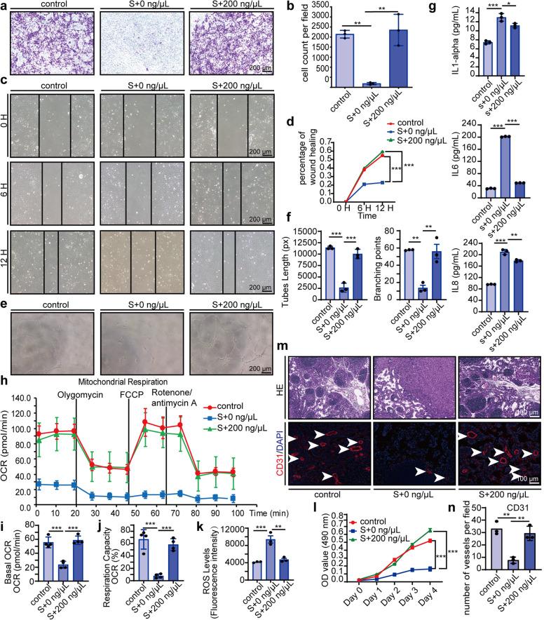 https://cdn.ncbi.nlm.nih.gov/pmc/blobs/74af/8531331/2db8cc64769b/41392_2021_765_Fig3_HTML.jpg