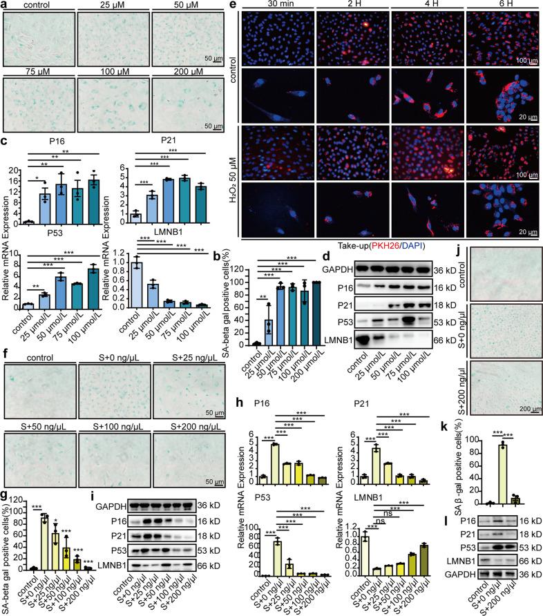 https://cdn.ncbi.nlm.nih.gov/pmc/blobs/74af/8531331/63954bb01849/41392_2021_765_Fig2_HTML.jpg