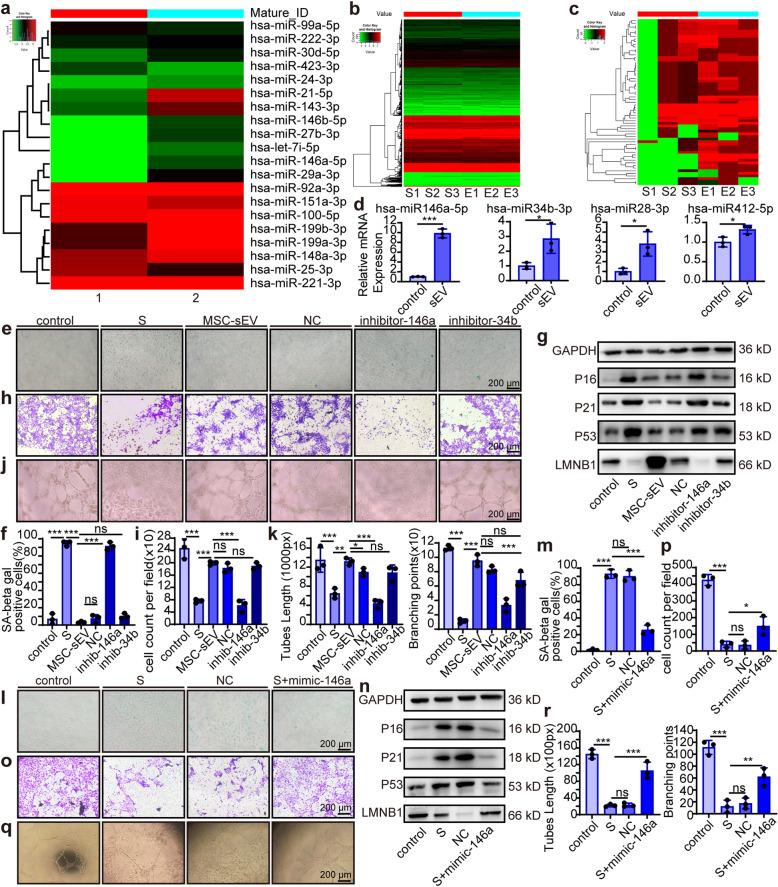 https://cdn.ncbi.nlm.nih.gov/pmc/blobs/74af/8531331/6d70366b8f89/41392_2021_765_Fig5_HTML.jpg