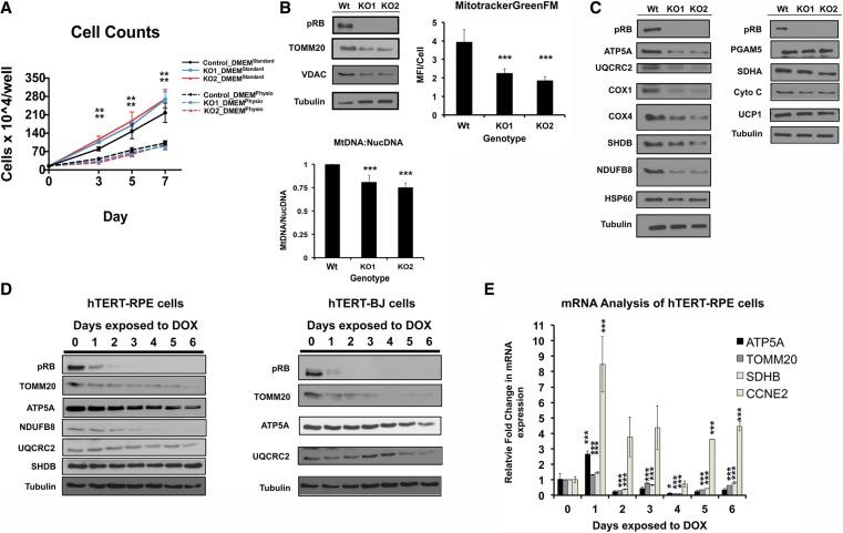 https://cdn.ncbi.nlm.nih.gov/pmc/blobs/74b1/4573859/ca5843d70090/1875f03.jpg