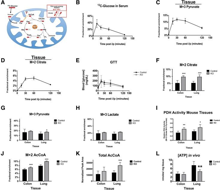 https://cdn.ncbi.nlm.nih.gov/pmc/blobs/74b1/4573859/f696ca59e879/1875f06.jpg