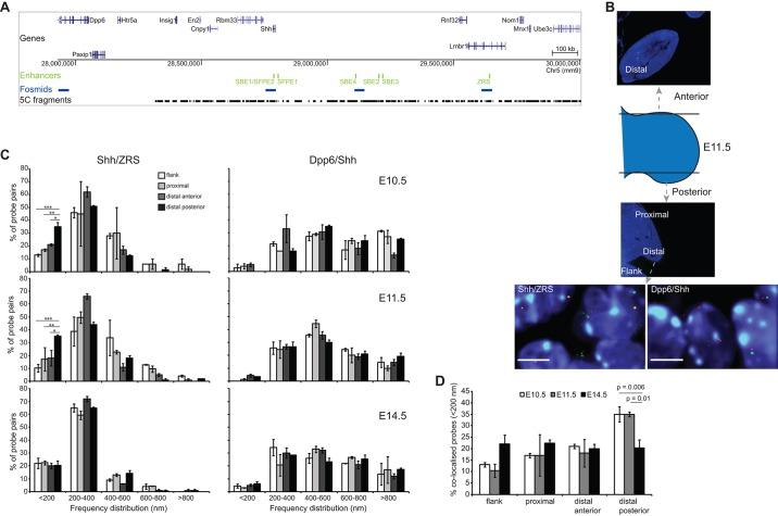 https://cdn.ncbi.nlm.nih.gov/pmc/blobs/74b1/5004883/741cafd14d34/develop-143-139188-g1.jpg