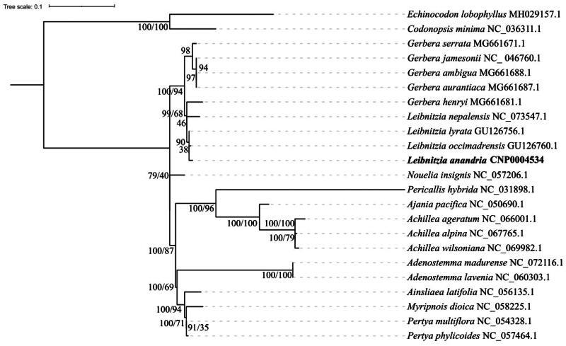 https://cdn.ncbi.nlm.nih.gov/pmc/blobs/74b2/11067557/fef0b16476ac/TMDN_A_2347511_F0003_B.jpg