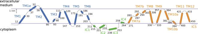 https://cdn.ncbi.nlm.nih.gov/pmc/blobs/74b2/6353926/a35bdc3a1afd/41598_2018_37367_Fig1_HTML.jpg