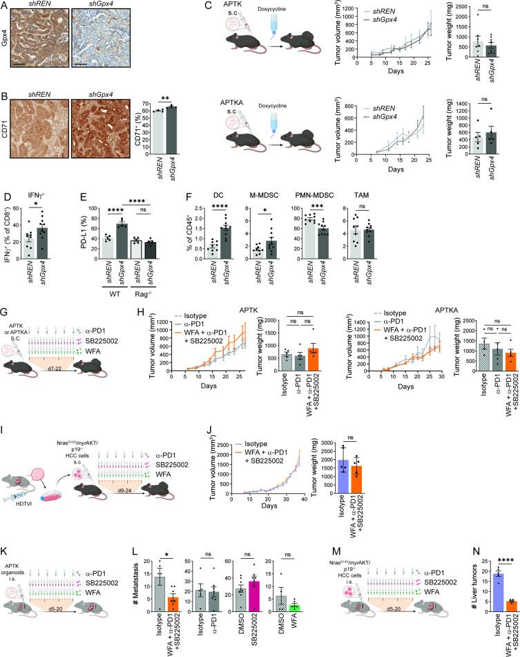 https://cdn.ncbi.nlm.nih.gov/pmc/blobs/74b3/10423492/fab78090520a/gutjnl-2022-327909f04.jpg