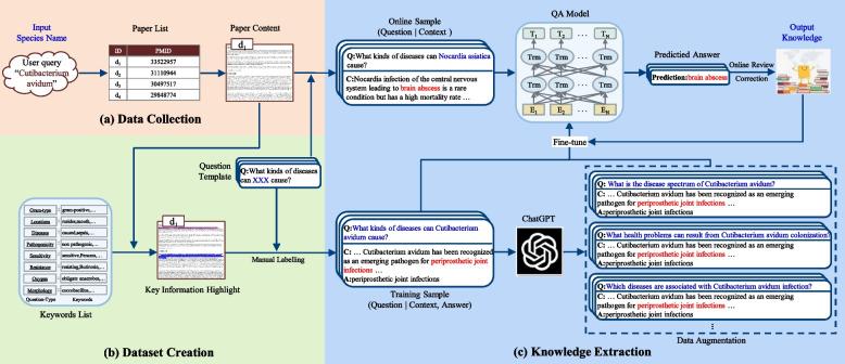 https://cdn.ncbi.nlm.nih.gov/pmc/blobs/74b6/11549790/c005e5acbc8d/12864_2024_10978_Fig2_HTML.jpg