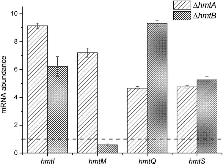 https://cdn.ncbi.nlm.nih.gov/pmc/blobs/74b7/6328088/c3a071b1fb46/gr4.jpg