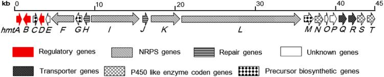 https://cdn.ncbi.nlm.nih.gov/pmc/blobs/74b7/6328088/ea0e098d47c5/gr2.jpg