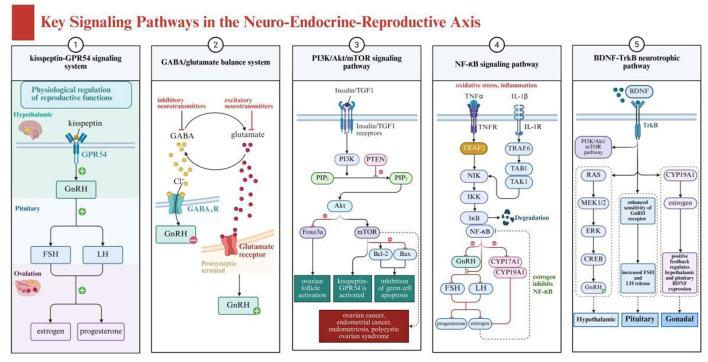 https://cdn.ncbi.nlm.nih.gov/pmc/blobs/74b8/12129779/68639d194561/fnut-12-1591534-g0002.jpg
