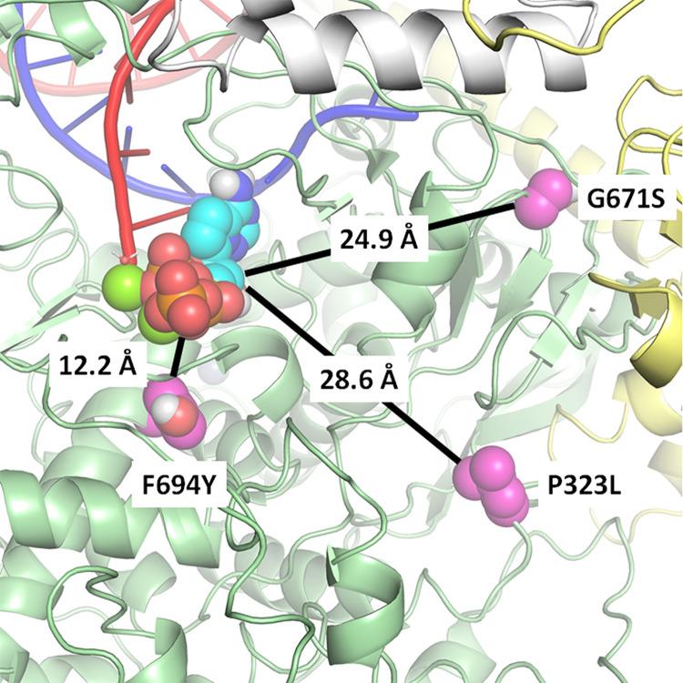 https://cdn.ncbi.nlm.nih.gov/pmc/blobs/74b8/9211395/d7bf76bf8e00/aac.00222-22-f002.jpg