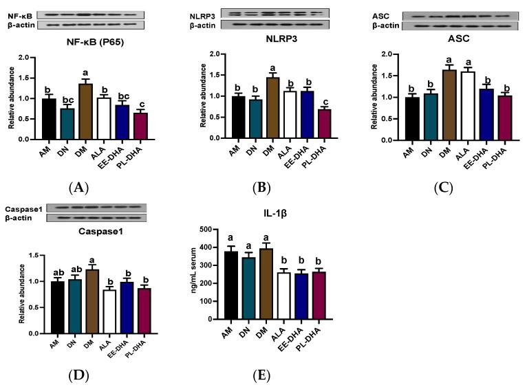 https://cdn.ncbi.nlm.nih.gov/pmc/blobs/74b9/10305078/28bc6443020e/marinedrugs-21-00354-g007.jpg