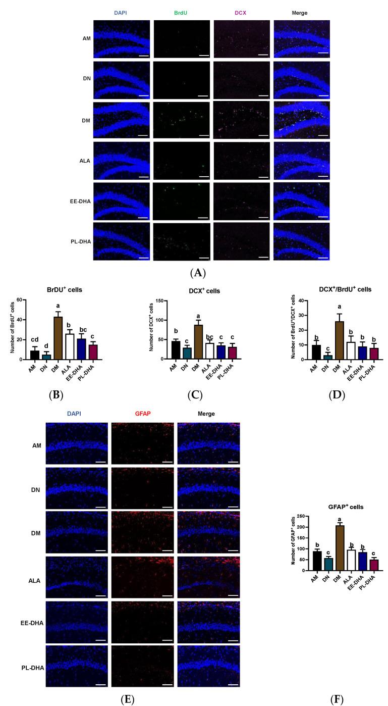 https://cdn.ncbi.nlm.nih.gov/pmc/blobs/74b9/10305078/9797b6fbc42b/marinedrugs-21-00354-g004.jpg