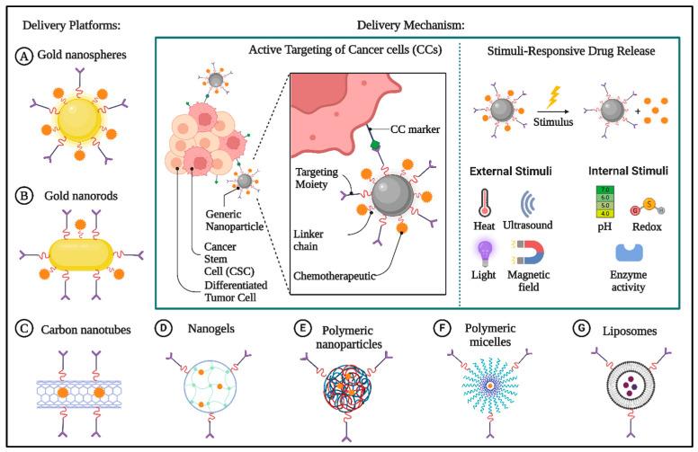 https://cdn.ncbi.nlm.nih.gov/pmc/blobs/74b9/12191216/0de91a7701be/biomolecules-15-00802-g002.jpg