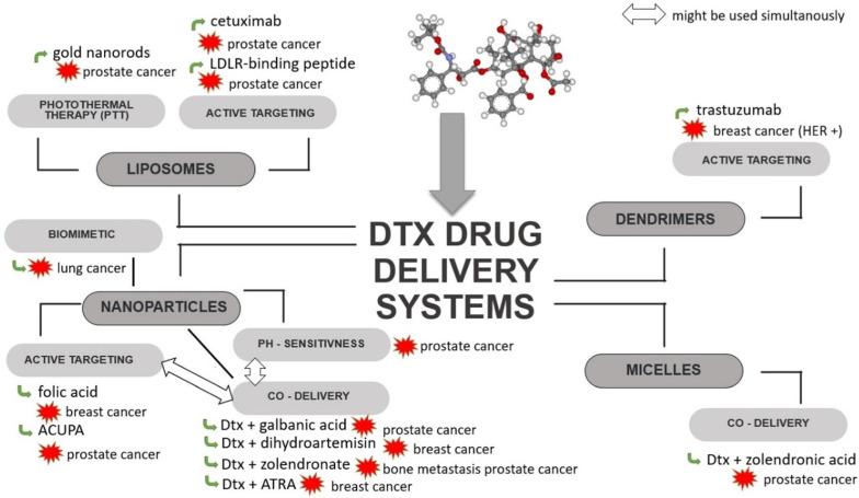 https://cdn.ncbi.nlm.nih.gov/pmc/blobs/74b9/9138983/028417e8207b/biomedicines-10-01187-g004.jpg