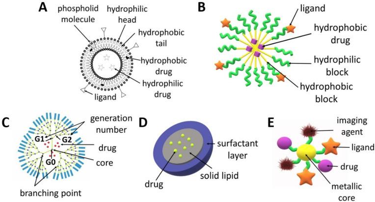 https://cdn.ncbi.nlm.nih.gov/pmc/blobs/74b9/9138983/5ded58f7f0fe/biomedicines-10-01187-g002.jpg