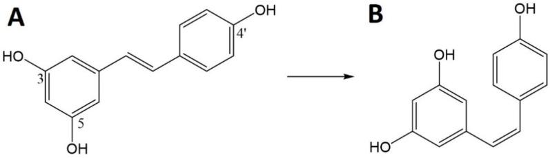 https://cdn.ncbi.nlm.nih.gov/pmc/blobs/74b9/9138983/aa493c2c950a/biomedicines-10-01187-g006.jpg