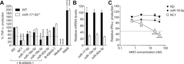 https://cdn.ncbi.nlm.nih.gov/pmc/blobs/74ba/4333393/7cf565c530c1/gku1343fig1.jpg