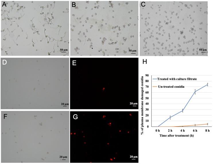 https://cdn.ncbi.nlm.nih.gov/pmc/blobs/74bc/7157576/e970cb37ec16/pathogens-09-00213-g004.jpg