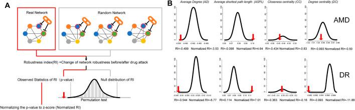 https://cdn.ncbi.nlm.nih.gov/pmc/blobs/74c1/8990835/64acd68a0e65/fphar-13-826535-g001.jpg