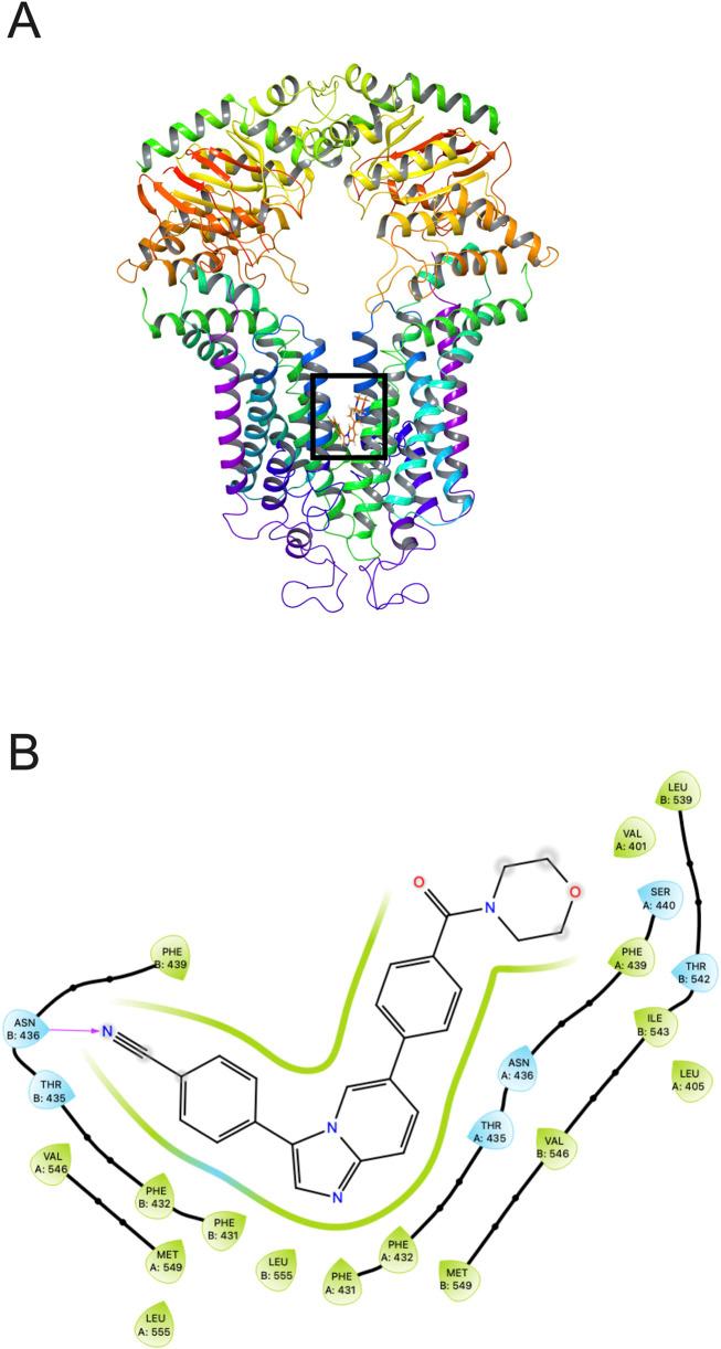 https://cdn.ncbi.nlm.nih.gov/pmc/blobs/74c3/12202571/2c4e151bbd02/fphar-16-1606857-g007.jpg