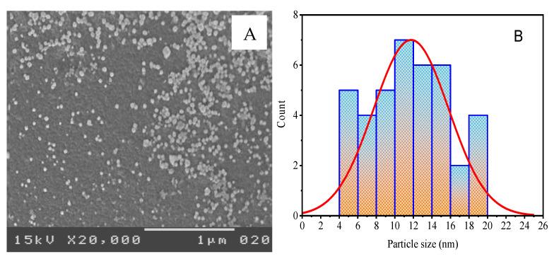 https://cdn.ncbi.nlm.nih.gov/pmc/blobs/74c3/9919260/28aa90bab13b/molecules-28-01375-g008.jpg