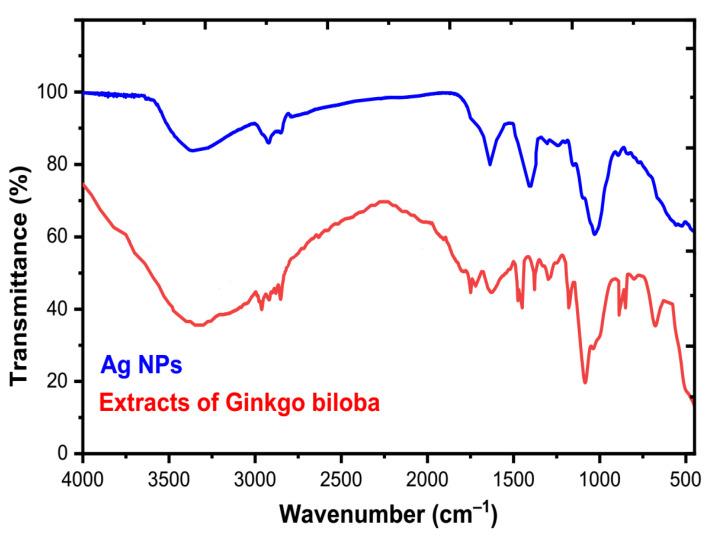 https://cdn.ncbi.nlm.nih.gov/pmc/blobs/74c3/9919260/89197340810b/molecules-28-01375-g007.jpg