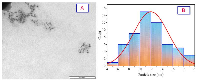 https://cdn.ncbi.nlm.nih.gov/pmc/blobs/74c3/9919260/ff96468281da/molecules-28-01375-g009.jpg