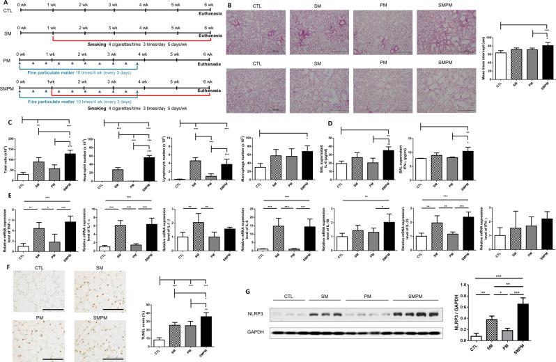 https://cdn.ncbi.nlm.nih.gov/pmc/blobs/74c4/11041029/4296c63a8498/12950_2024_384_Fig2_HTML.jpg