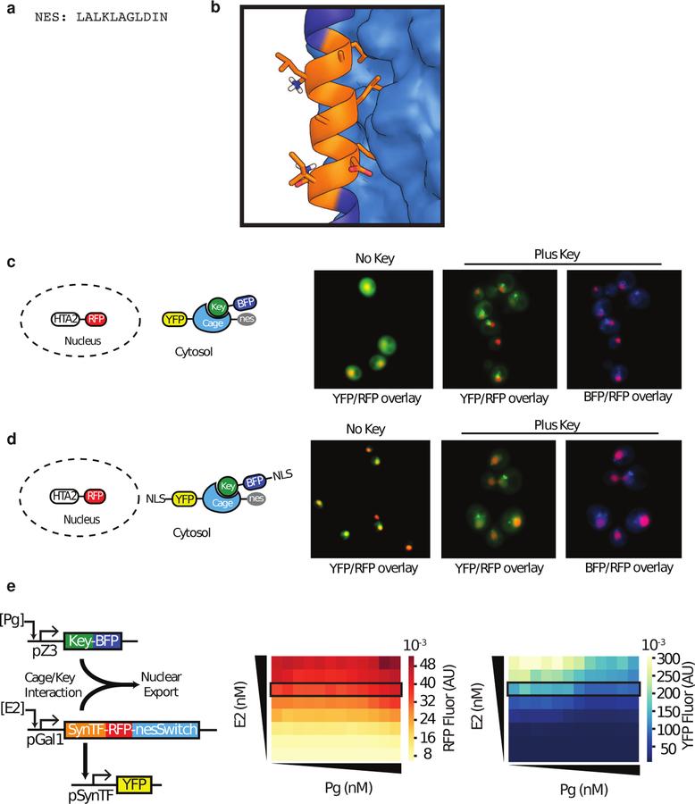 https://cdn.ncbi.nlm.nih.gov/pmc/blobs/74c4/6733528/ad8d6bf36a4c/nihms-1532383-f0015.jpg